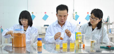 Tạo màu thực phẩm từ hoa cúc vạn thọ