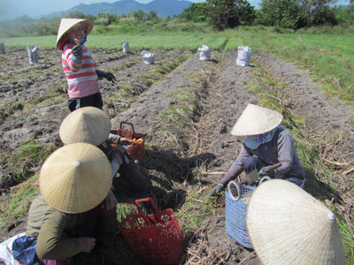 Phút hàn huyên sau giờ giải lao