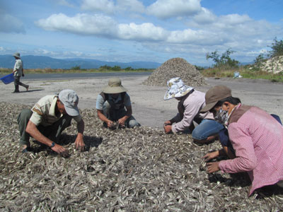 Giũ đất 