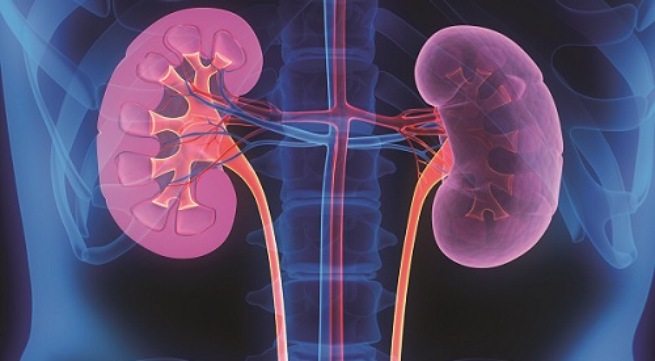 Những loại thuốc gây độc cho thận