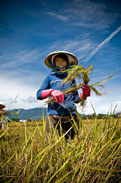 Một tác phẩm của Thiery Beyne.