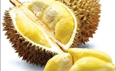 Lợi và hại ít người biết của sầu riêng