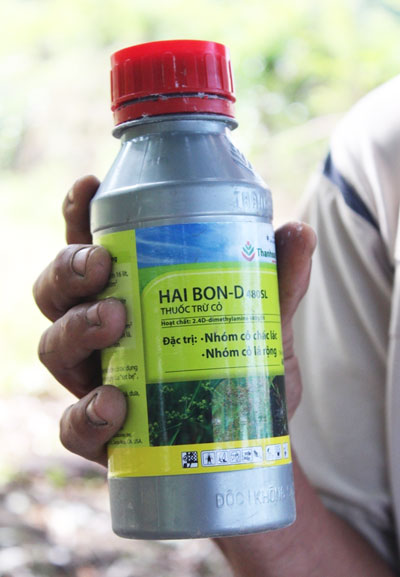 Lúa chết vì thuốc diệt cỏ dỏm?