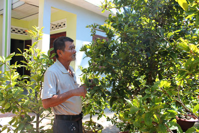 Phong trào nông dân năm 2014: Tiếp tục phát huy hiệu quả