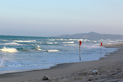 Tắm biển 3 người chết, 1 người mất tích