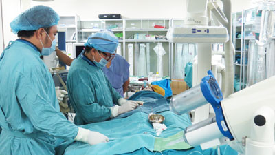 Làm chủ nhiều kỹ thuật điều trị tim mạch