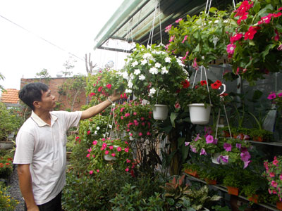 Thị trường hoa kiểng dịp Tết: Bắt đầu nhộn nhịp