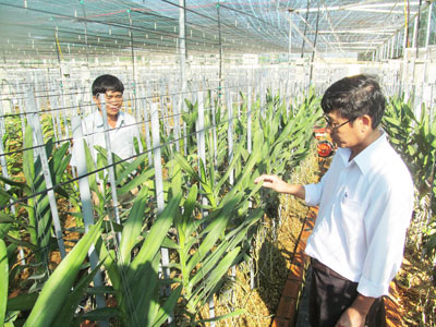 Ông Mai Xuân Thương (bên phải) trao đổi chuyên môn với đồng nghiệp.