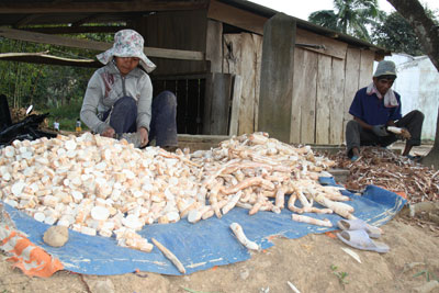 Giá mì khô chỉ 3.500 đồng/kg