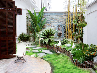 Cây cỏ thân quen