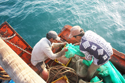 Ngư dân khai thác ruốc.