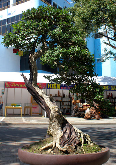 Dáng văn nhân mảnh khảnh và bay bổng biểu trưng cho giới nghệ thuật.