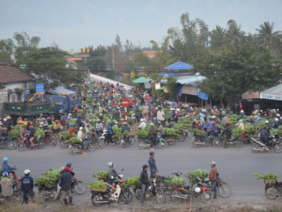 Chợ chuối đầu mối nhộn nhịp ngày giáp Tết