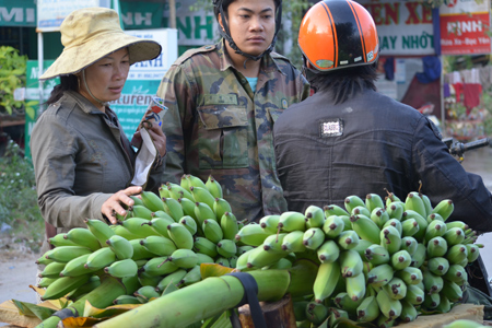 Hai buồng chuối này được bán với giá 1,8 triệu đồng.