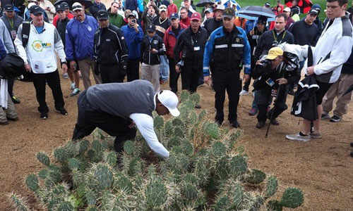 Giải Phoenix Open tại Arizona chứng kiến Woods (mũ trắng) đánh tệ chưa từng thấy trong sự nghiệp. Ảnh: Reuters.
