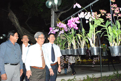 Các đồng chí lãnh đạo tham quan tại Hội hoa xuân.