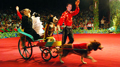 Xiếc Việt Nam mang sân khấu bạt lớn nhất Đông Nam Á du xuân