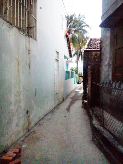 Án mạng đầu năm