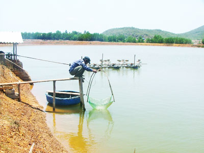 Nuôi tôm theo hướng VietGAP