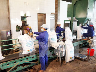 Giá đường tăng nhẹ