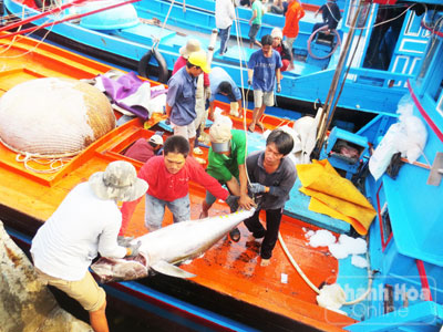 Nhộn nhịp cảng cá đầu năm.