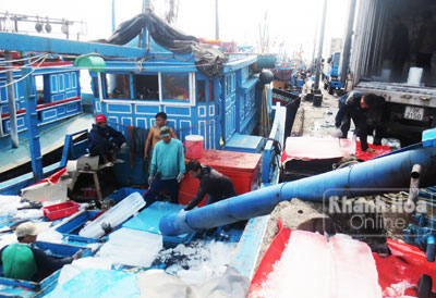 Ngư dân khẩn trương chuẩn bị nguyên liệu cho chuyến biển mới.