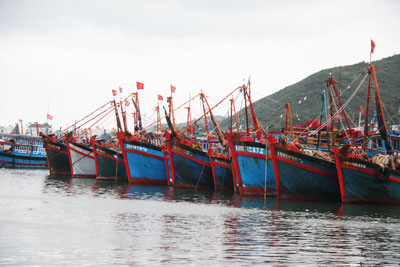 Một số vướng mắc trong triển khai phát triển thủy sản