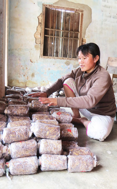 Thông qua nguồn vốn vay của Hội Nông dân xã, gia đình chị Nhung thoát nghèo với nghề trồng nấm.
