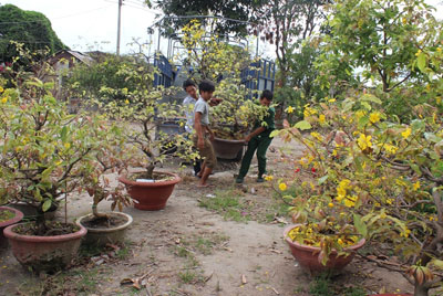 Khách hàng chở mai đến vườn của ông Tư gửi chăm sóc. 