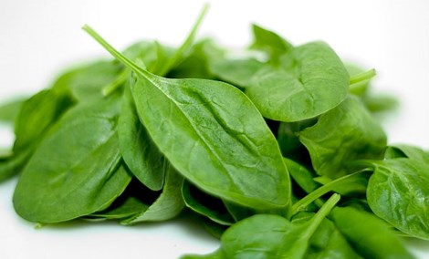 Rau xanh ngoài cung cấp thêm dinh dưỡng cho cơ thể còn có tác dụng hạ nhiệt nhất định khi cơ thể bị sốt. Hình minh họa