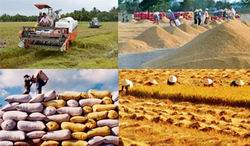 Thực hiện bình ổn giá một số mặt hàng nông nghiệp