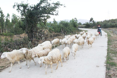 Những khó khăn cần tháo gỡ