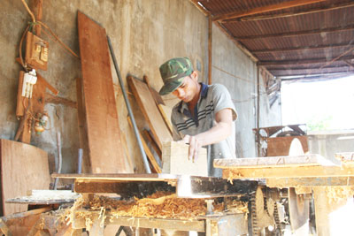 Hiệu quả từ phong trào nông dân sản xuất kinh doanh giỏi