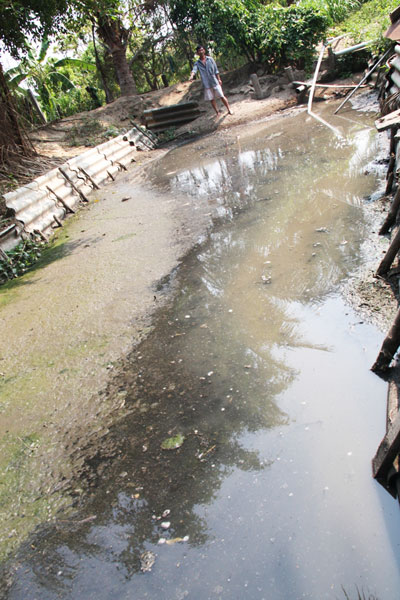 Trại heo gây ô nhiễm giếng nước?