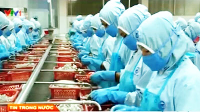 Việt Nam có 4 thị trường xuất khẩu hơn 1 tỷ USD