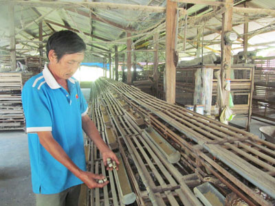 Trứng gia cầm rớt giá