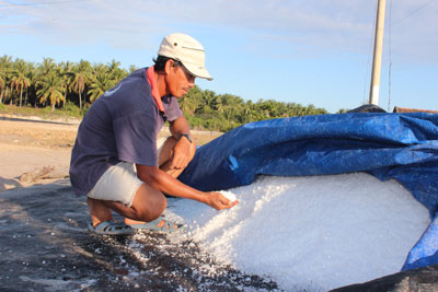 Những hạt muối trắng, sạch được sản xuất trên ruộng muối được chuyển đổi từ ao, đìa bỏ hoang của gia đình ông Hưng.