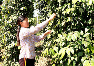 Nữ chi hội trưởng gương mẫu