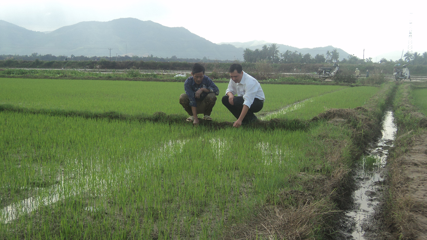 Chi hội trưởng có vai trò quan trọng trong phát triển các phong trào nông dân ở cơ sở. Ảnh tư liệu