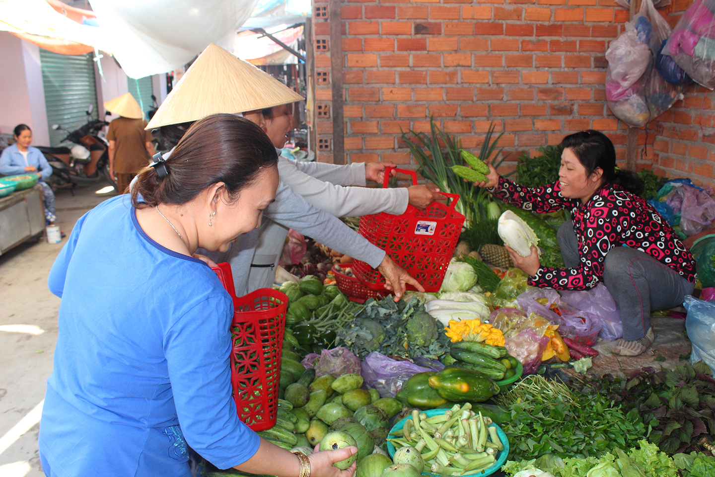 Hạn chế sử dụng túi nilon khi đi chợ, mua bán hàng hóa; trồng các loại cây lấy lá để thay cho túi nilon… là những việc làm thiết thực của các thành viên Câu lạc bộ (CLB) “Hạn chế sử dụng túi nilon” (Hội Phụ nữ xã Diên An, huyện Diên Khánh) để góp phần bảo vệ môi trường.