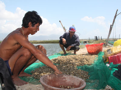 Nuôi trồng thủy sản bị thiệt hại nặng