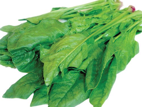 Bổ sung calcium từ thực phẩm