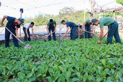 Tỷ lệ quân số khỏe đạt 98,5%