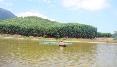 Những đồi keo xa tít tắp của người dân xã Diên Xuân.