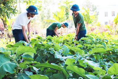 Bảo đảm hậu cần cho huấn luyện bay