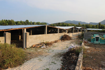 Sau khi có thông báo chủ trương thu hồi đất để xây dựng đường chính vào Kho xăng dầu ngoại quan Vân Phong, một số người dân thôn Ninh Yển, xã Ninh Phước, thị xã Ninh Hòa đã xây dựng hàng loạt ngôi mộ giả và chuồng heo trên đất dự án để… chờ được đền bù!