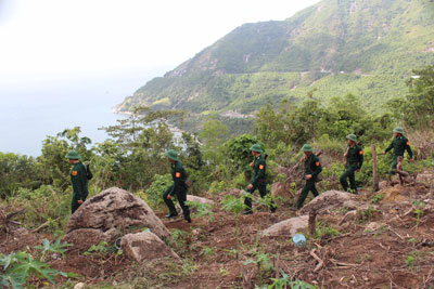 Vạn Ninh: Chủ động phòng, chống cháy rừng