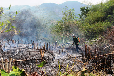 Ẩn họa cháy rừng từ đốt nương rẫy