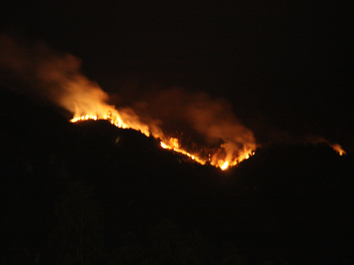 Hiện trường vụ cháy trên đỉnh Đá Hang.