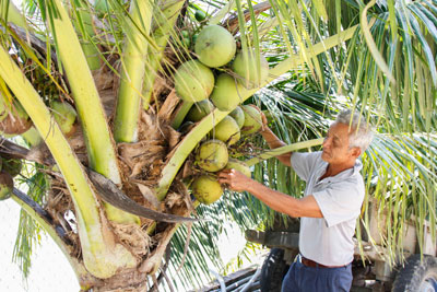 Nghị lực vươn lên của một cựu chiến binh